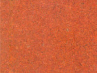 Plants: image 4 0f 4 thumb